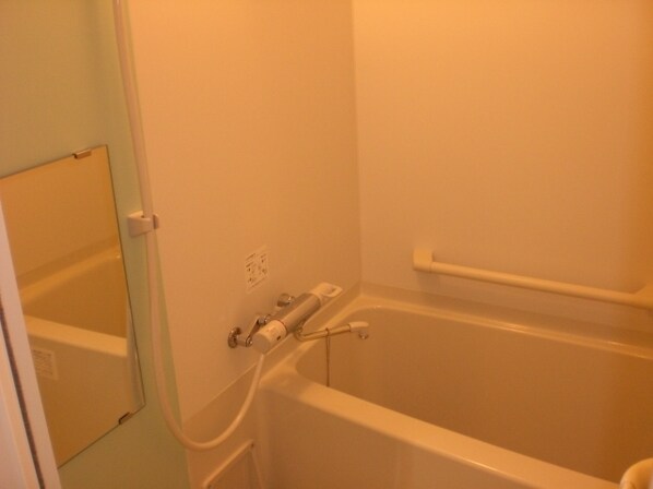 レオネクストKアパートメントの物件内観写真